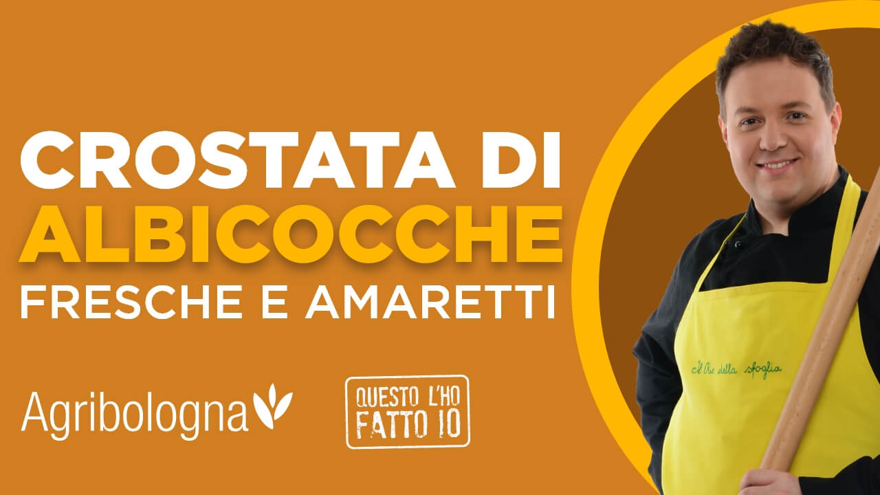 Crostata di albicocche fresche e amaretti