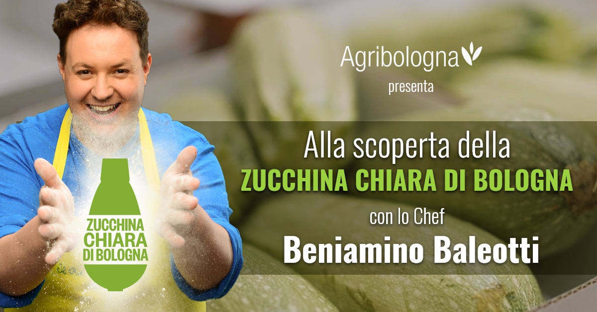 Alla scoperta della zucchina chiara di Bologna