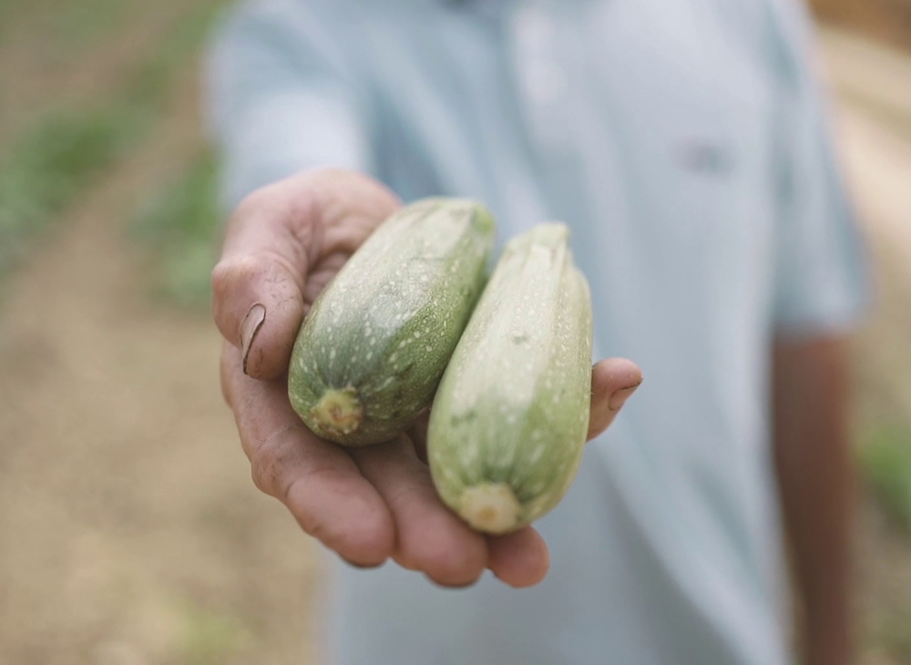 Il Consorzio Agribologna
