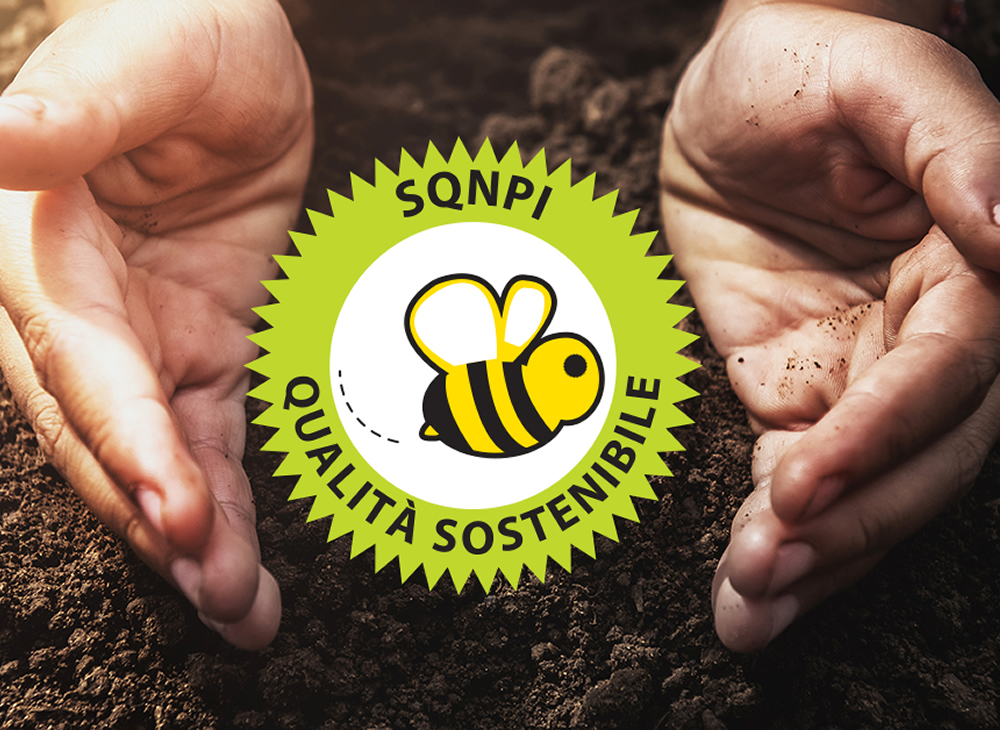 Ottenimento della certificazione SQNPI