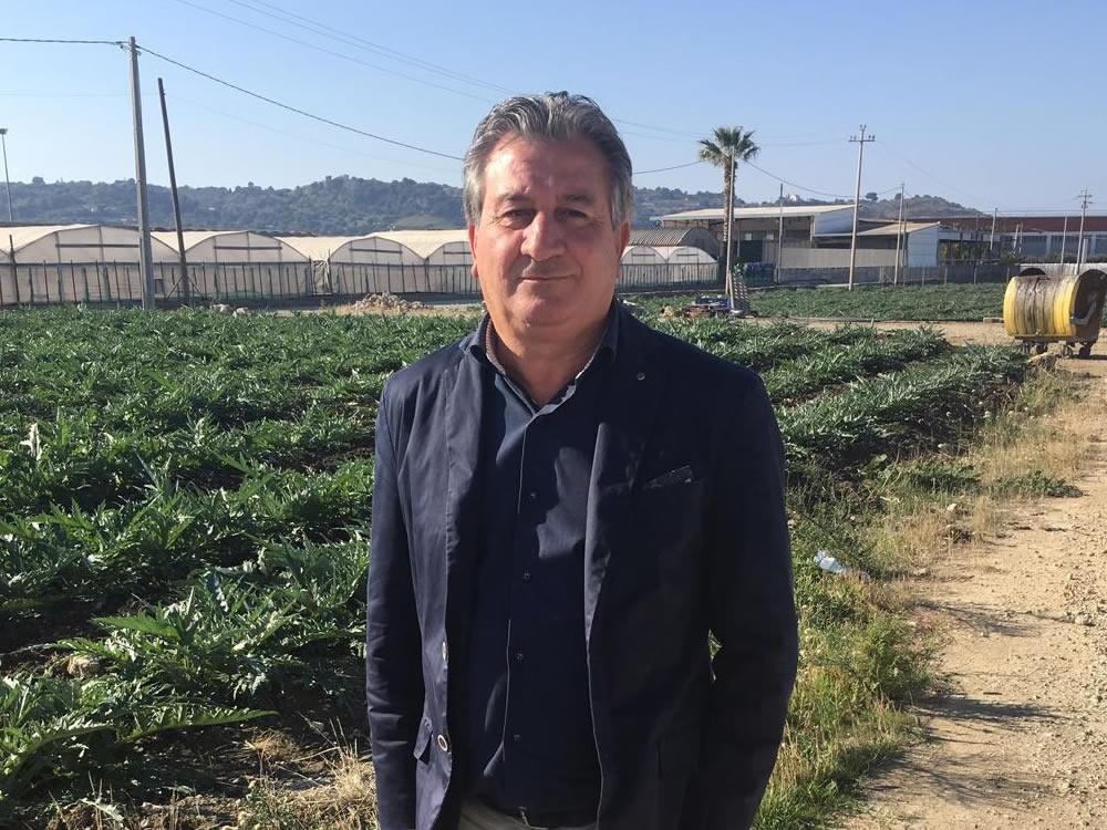 Gino Farruggio 