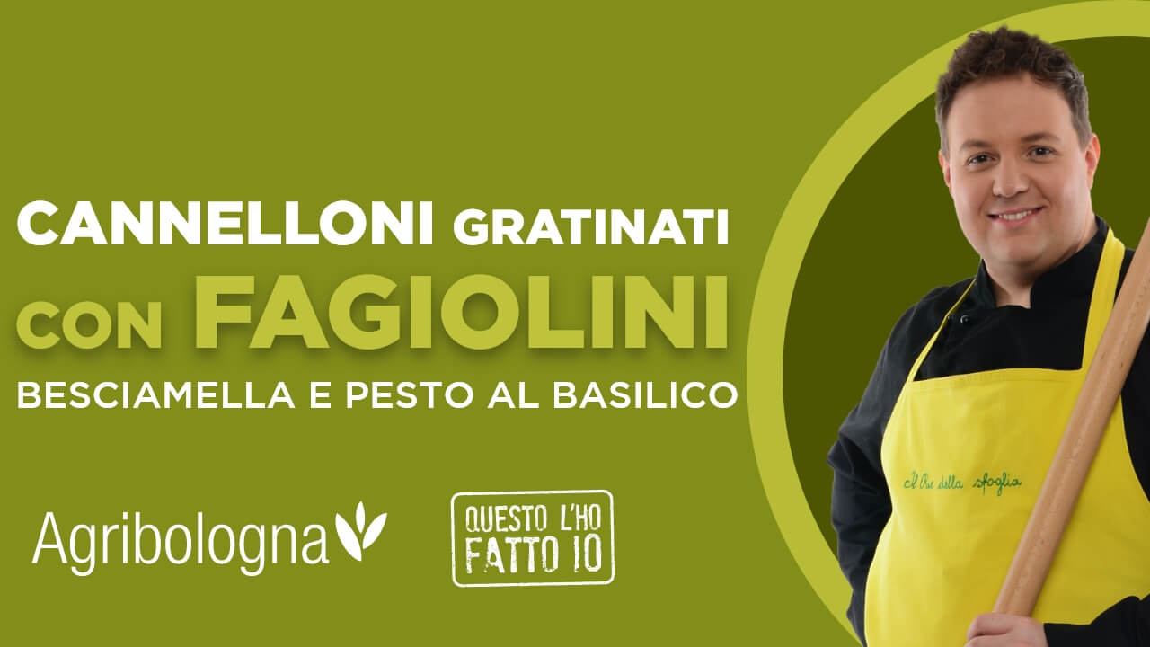 Cannelloni gratinati con fagiolini, besciamella e pesto al basilico